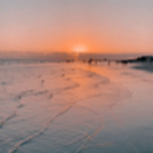 Meet your Posher, Cousin